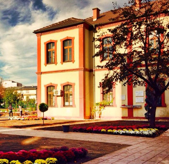 Ferizaj library