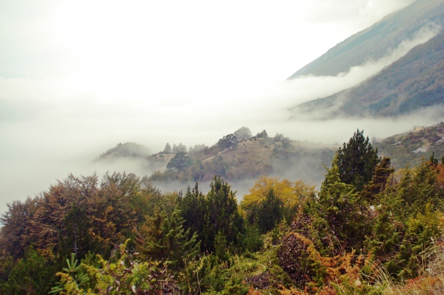 Prevalla National Park Kosovo