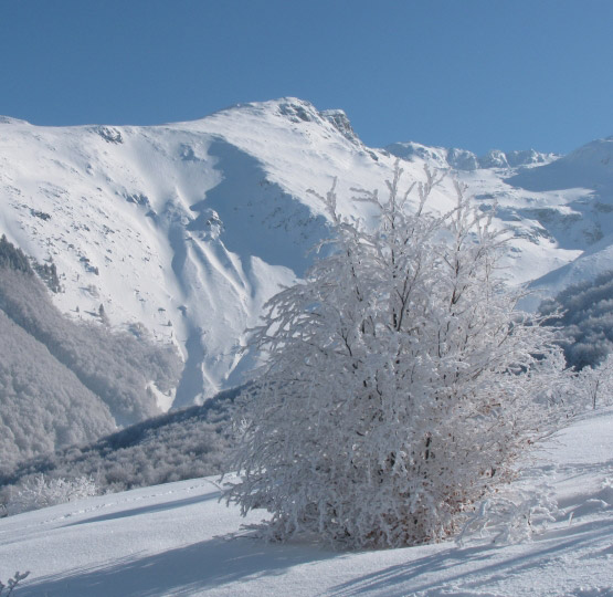 Prevalla National Parkr Winter