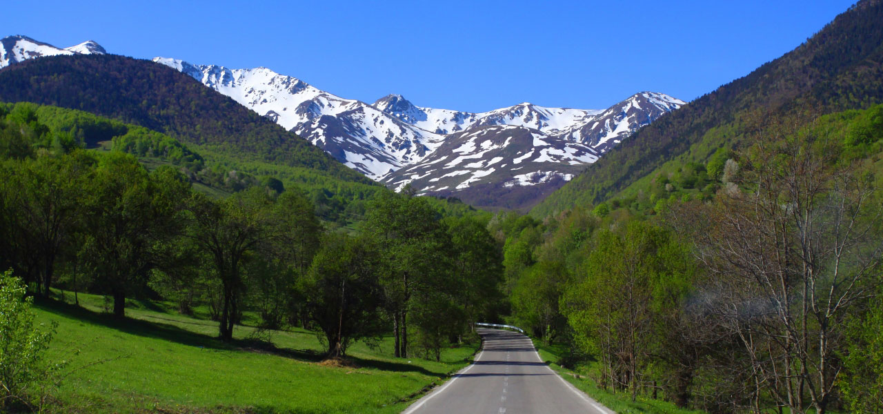 Prevalla National Park Kosovo